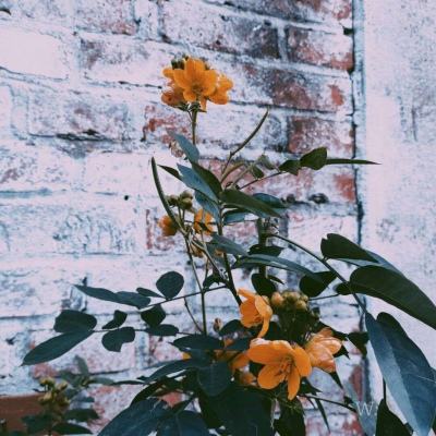 威尼斯游戏网站官网